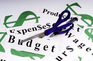 Reducing the Costs of a Company photo