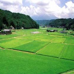 Financial Reporting of a Farm and Agricultural Business photo