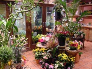 Flower Shop on Keep Strong Your Flower Shop   S Image   New Business Ideas