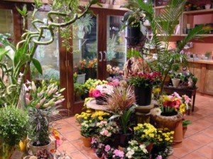 Flower Shops on Keep Strong Your Flower Shops Image Photo